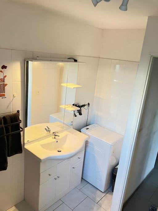 Sejour Bucolique Au Du Der Appartement Giffaumont-Champaubert